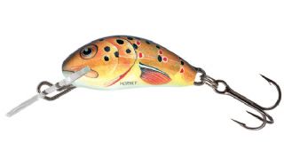 Salmo Hornet Sinking 2.5cm - 